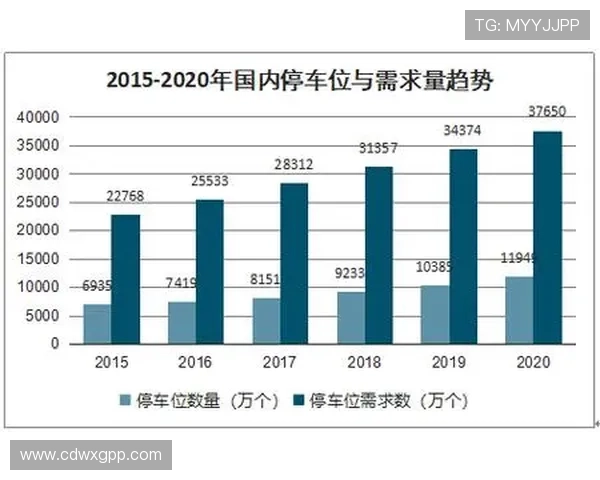 肇庆市奥动足球俱乐部发展历程与未来战略规划分析