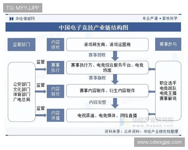 《全球电竞行业迎来新一轮发展浪潮 各大赛事逐步回归线下模式》 《全球电竞行业迎来新一轮发展浪潮 各大赛事逐步回归线下模式》