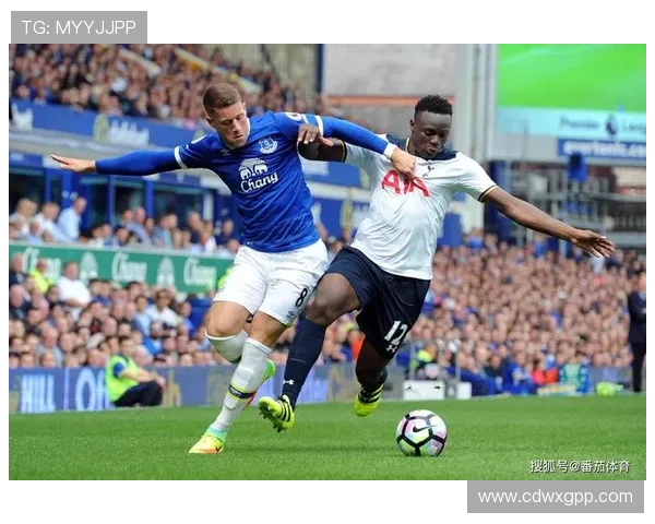 埃弗顿俱乐部百年荣耀与英超征程中的坚守与复兴之路