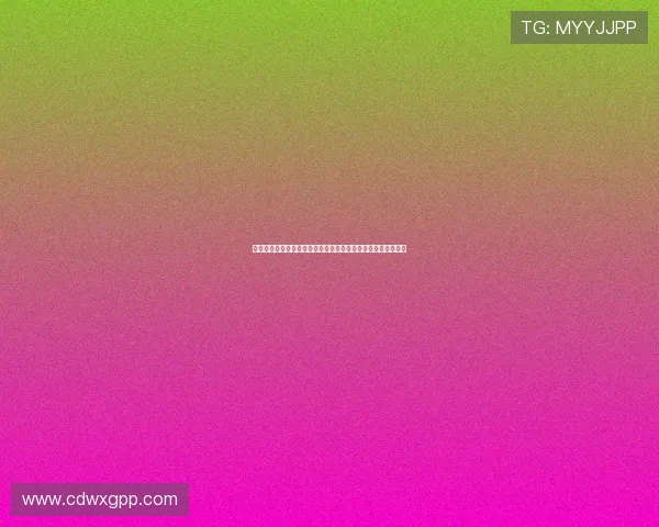 拜耳勒沃库森崛起之路从黑马到德甲劲旅的辉煌蜕变与未来展望