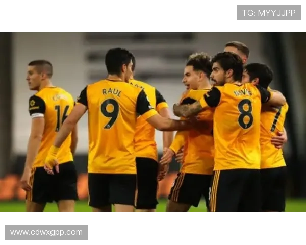 国王队全力备战新赛季 强势补强阵容期待突破旧纪录