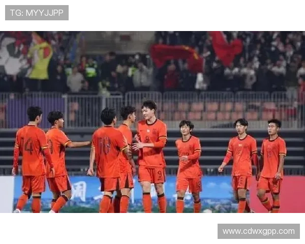 国家队备战世界杯预选赛新帅战术改革引发球迷热议媒体关注年轻球员表现 国家队备战世界杯预选赛新帅战术改革引发球迷热议媒体关注年轻球员表现