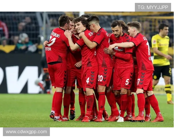 弗赖堡足球俱乐部发展历程与文化特色探索 弗赖堡足球俱乐部发展历程与文化特色探索