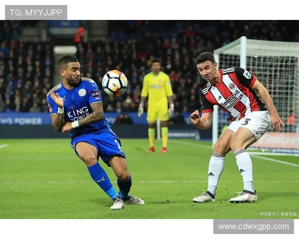 百年刀锋荣耀与挑战并存的谢菲尔德联俱乐部新征程与未来梦想蓝图