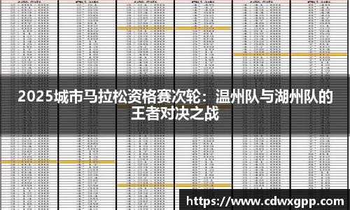 2025城市马拉松资格赛次轮：温州队与湖州队的王者对决之战